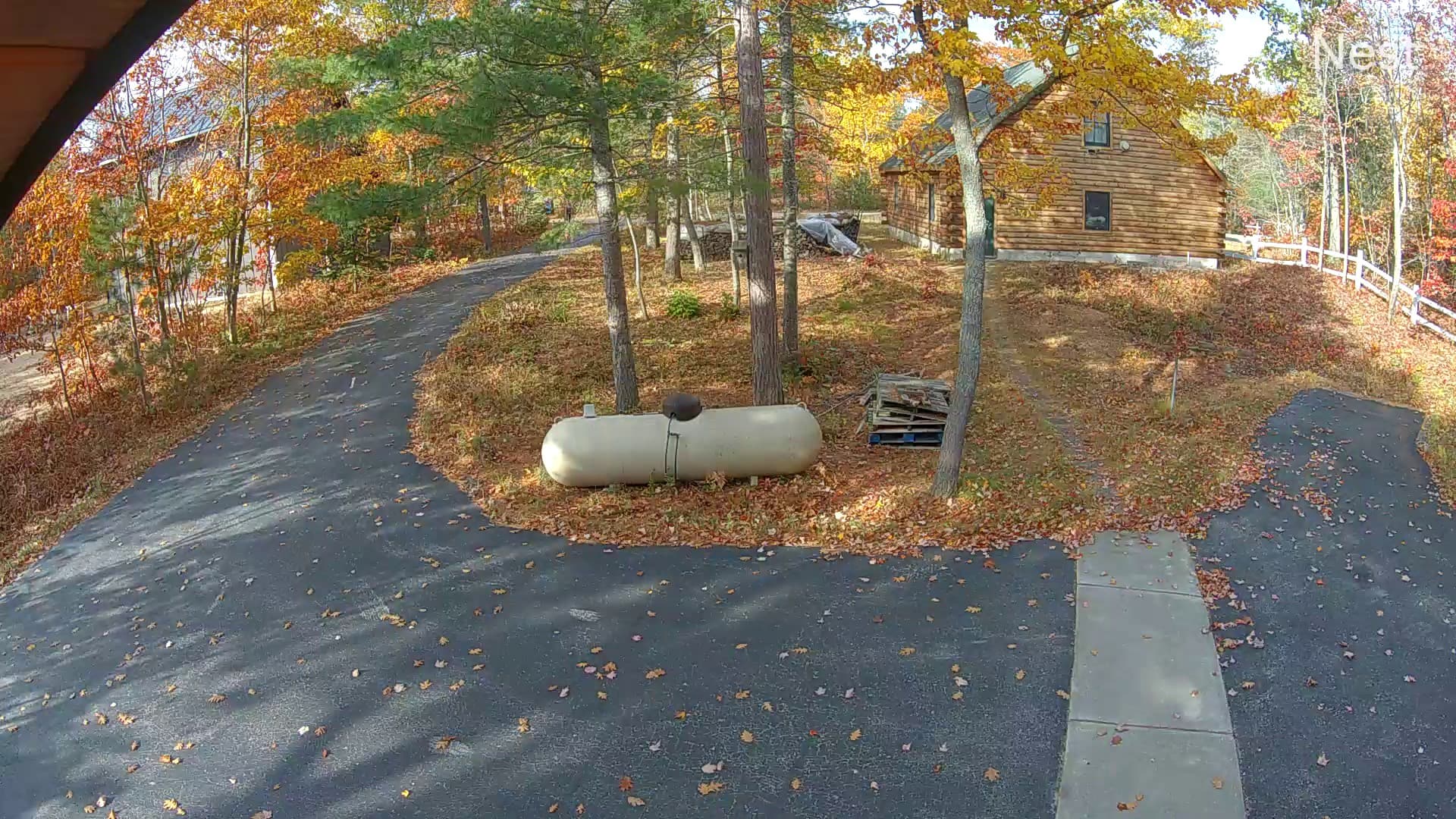 Latest snapshot from Driveway Cam